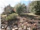 Black Springs NSW 2787