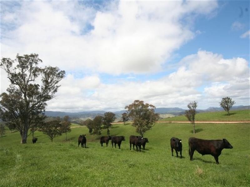 1739 Ganbenang Road, Little Hartley NSW 2790