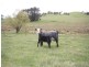 211 Barry Road, Barry NSW 2799