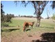Lyndhurst NSW 2350