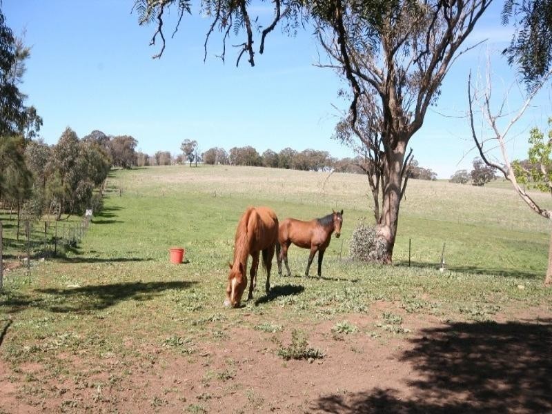 Lyndhurst NSW 2350
