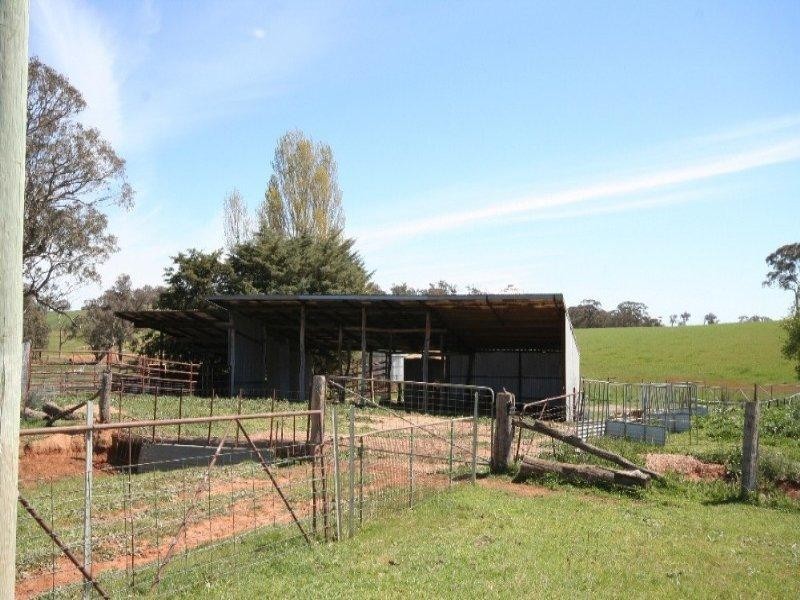 Lyndhurst NSW 2350