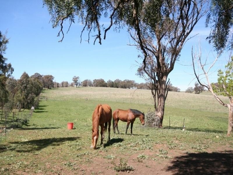 Lyndhurst NSW 2350