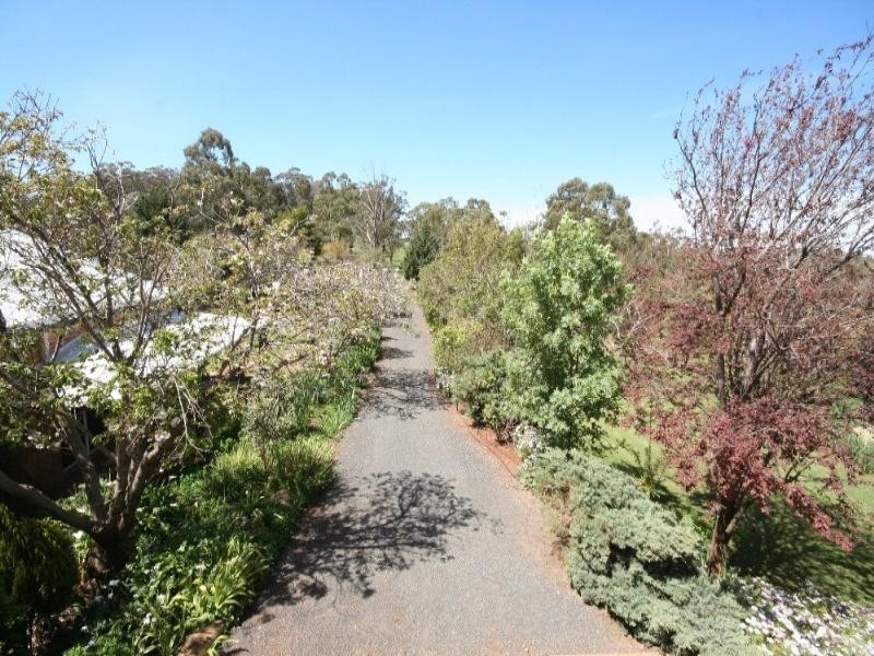 Lyndhurst NSW 2350
