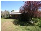 Lyndhurst NSW 2350
