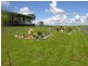 1658 Frogmore Road, Frogmore NSW 2586