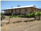 1908 Canowindra Road, Cowra NSW 2794