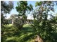 1789 O’Connell Road, O’connell NSW 2795