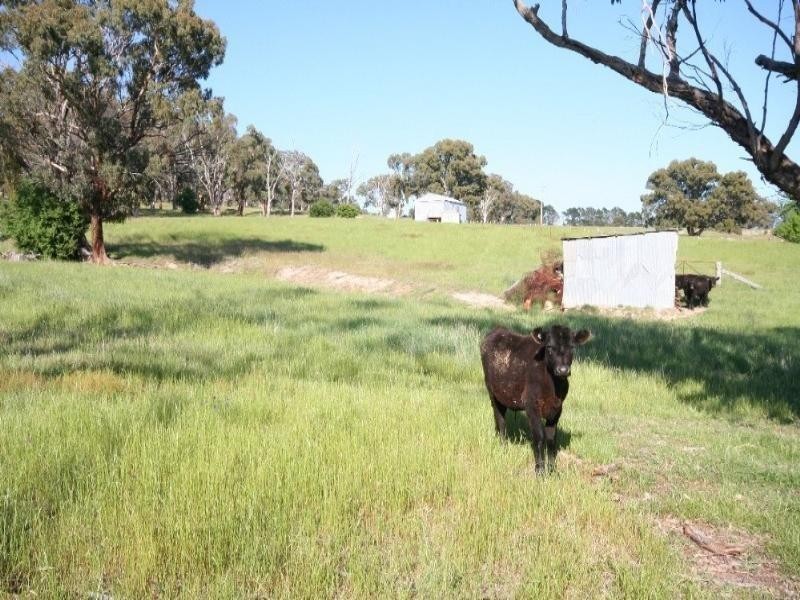 1789 O’Connell Road, O’connell NSW 2795