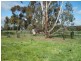 36 Broula Road, Cowra NSW 2794