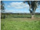 36 Broula Road, Cowra NSW 2794