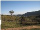 Lot 5 Oaky Creek Road, Wyangala NSW 2808