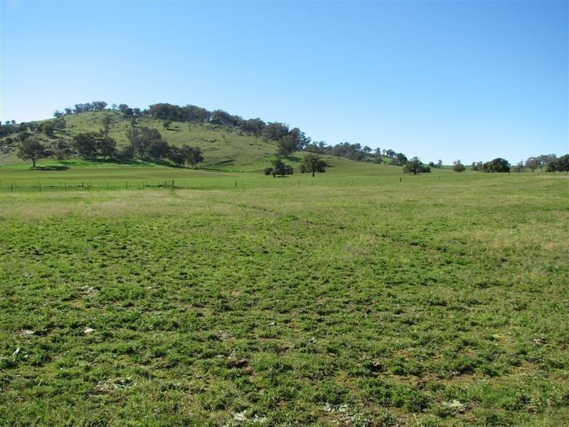 1932 Canowindra Road, Cowra NSW 2794