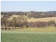 Carcoar NSW 2791