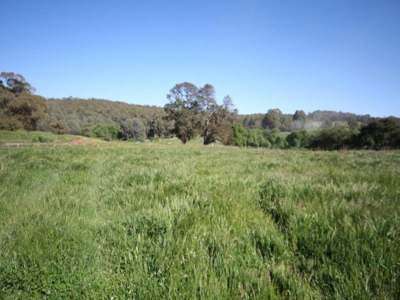 Isabella NSW 2795