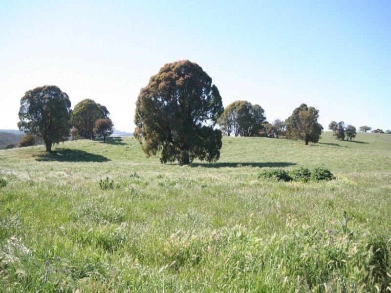 Isabella NSW 2795