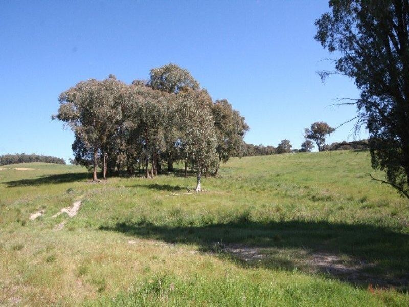 Isabella NSW 2795