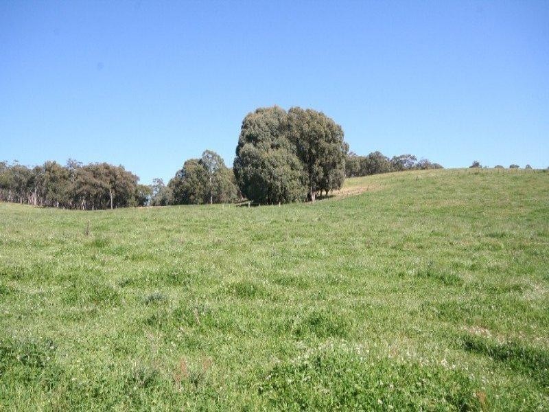 1535 Isabella Road, Isabella NSW 2795
