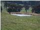 1535 Isabella Road, Isabella NSW 2795