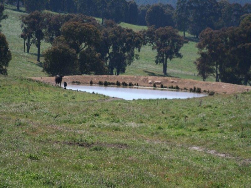 1535 Isabella Road, Isabella NSW 2795