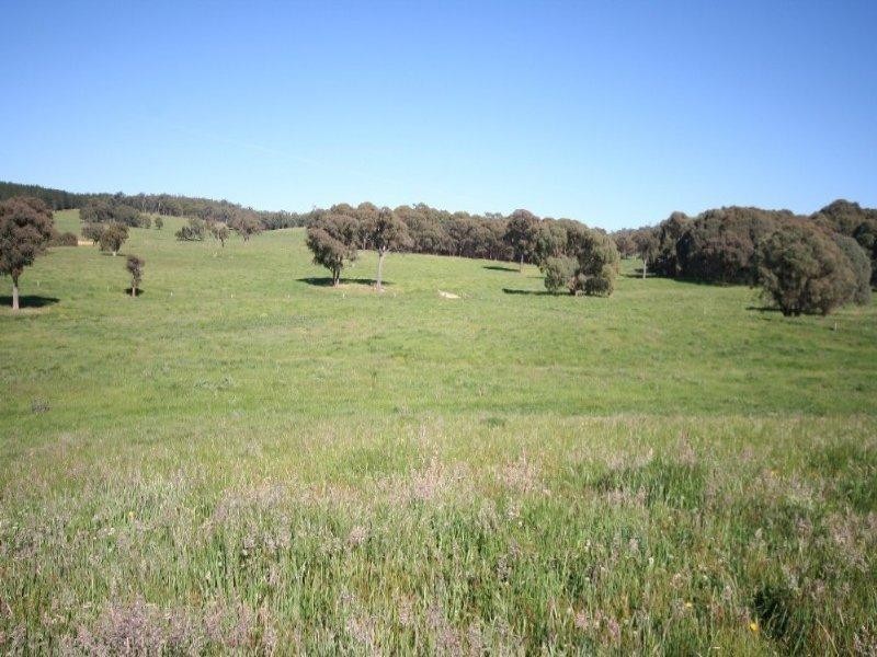 1535 Isabella Road, Isabella NSW 2795