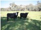 1535 Isabella Road, Isabella NSW 2795