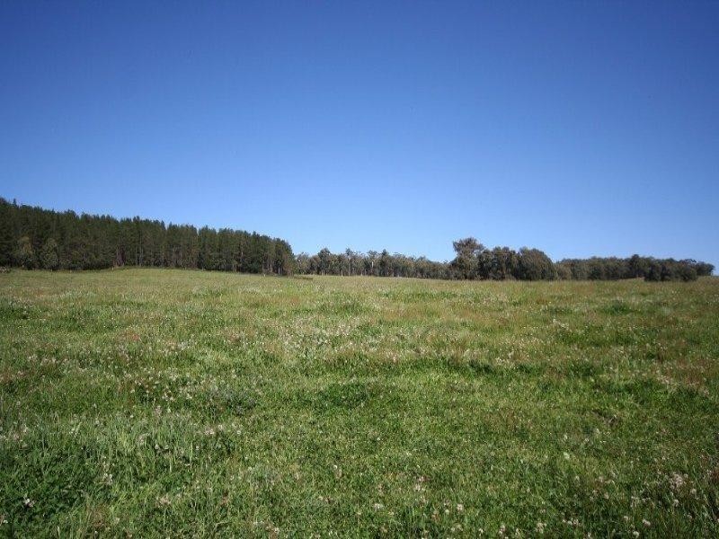 1535 Isabella Road, Isabella NSW 2795