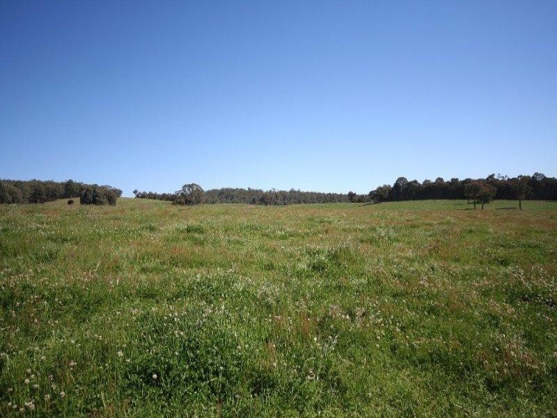 1535 Isabella Road, Isabella NSW 2795
