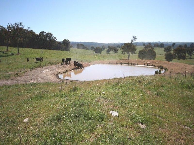 1535 Isabella Road, Isabella NSW 2795