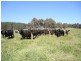 1535 Isabella Road, Isabella NSW 2795