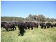 1535 Isabella Road, Isabella NSW 2795
