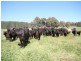 1535 Isabella Road, Isabella NSW 2795