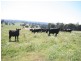 1535 Isabella Road, Isabella NSW 2795