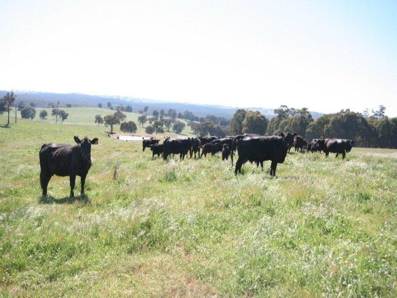 1535 Isabella Road, Isabella NSW 2795