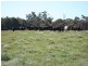 1535 Isabella Road, Isabella NSW 2795