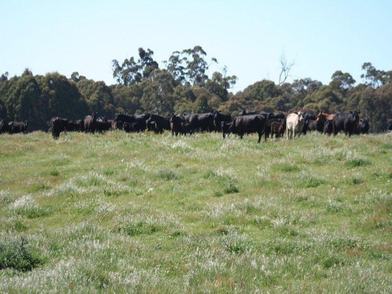 1535 Isabella Road, Isabella NSW 2795