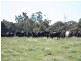 1535 Isabella Road, Isabella NSW 2795