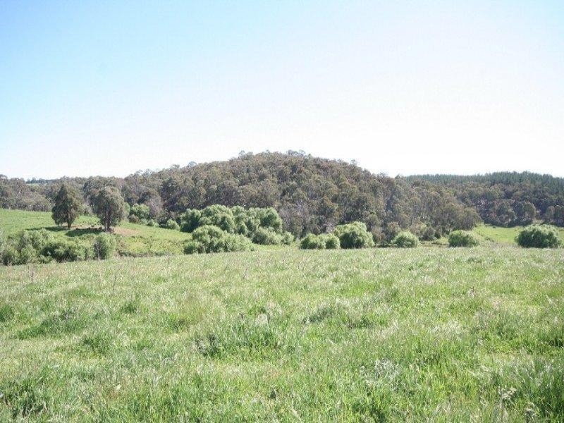 Isabella NSW 2795
