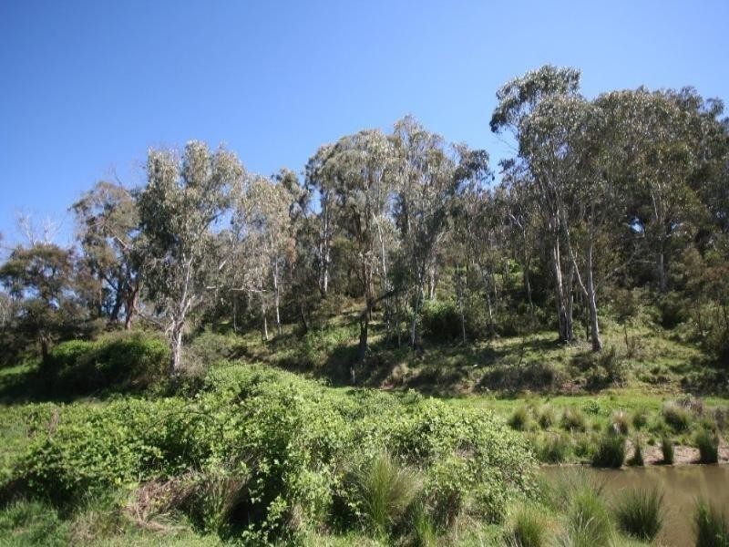 Isabella NSW 2795