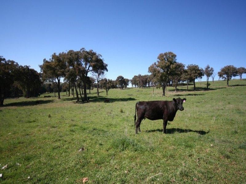 Isabella NSW 2795