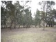 Wisemans Creek NSW 2795