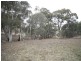 Wisemans Creek NSW 2795