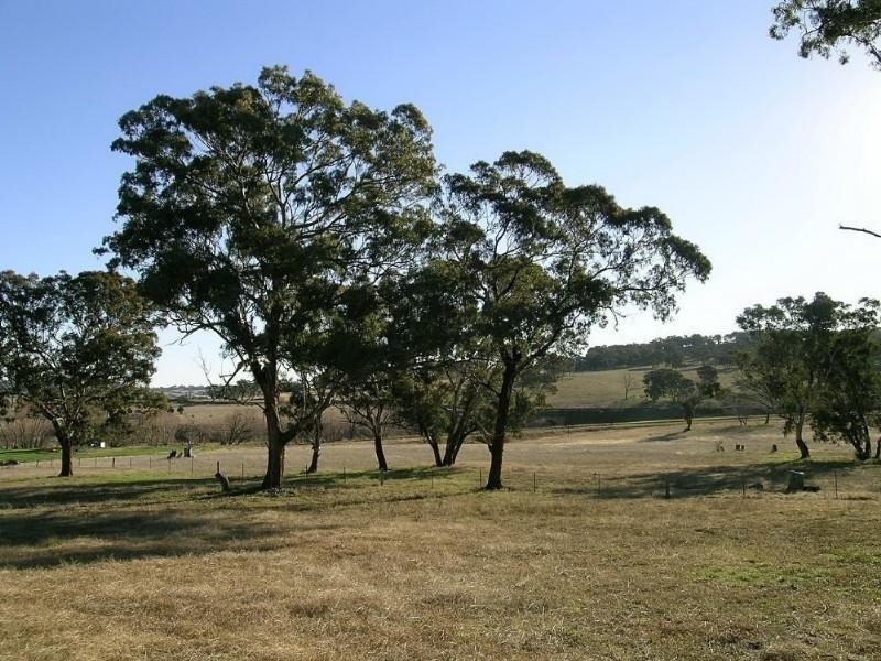 Tarana NSW 2787
