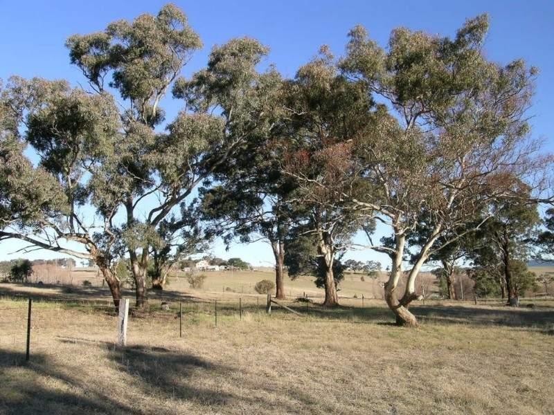 Tarana NSW 2787