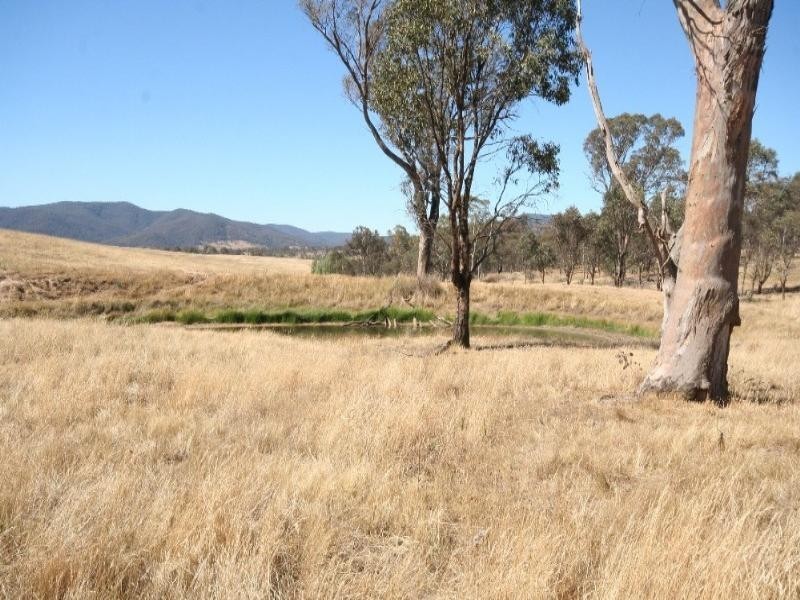 Tarana NSW 2787