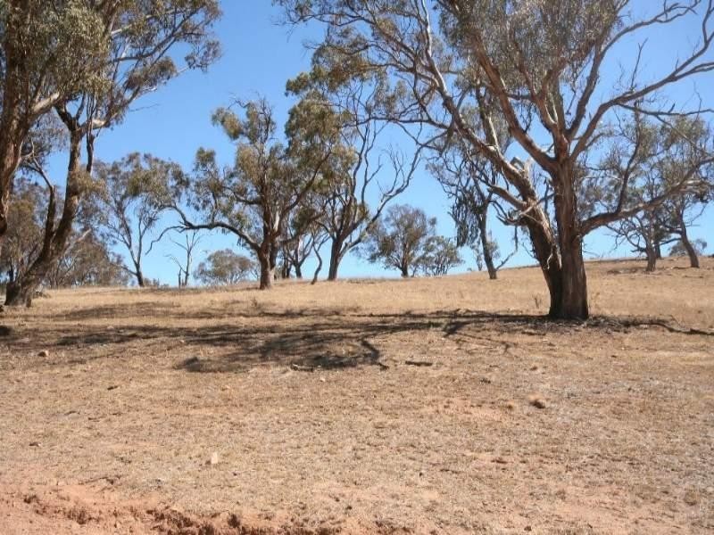 Tarana NSW 2787