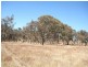Tarana NSW 2787