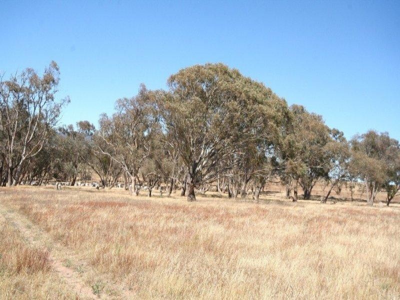 Tarana NSW 2787