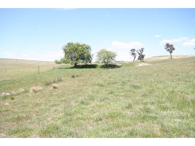 Black Springs NSW 2787