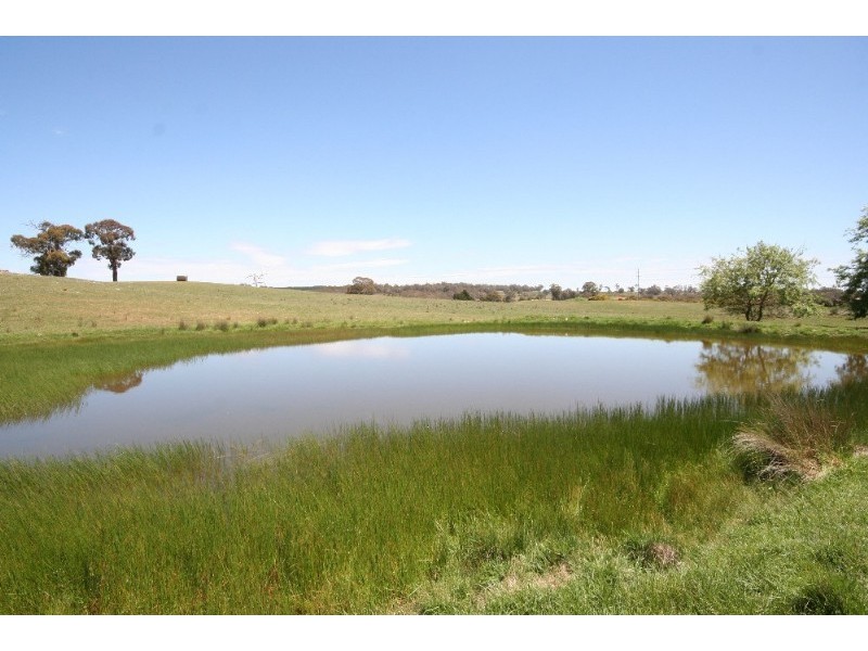 Black Springs NSW 2787